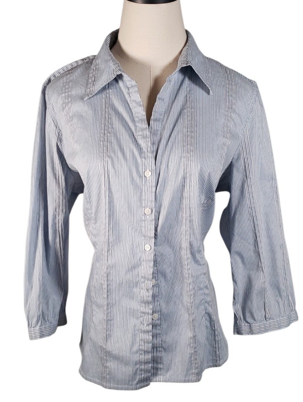 Talbots Petites Classic Blue Pinstripe Embroidered Lines Button-Up Preppy Shirt